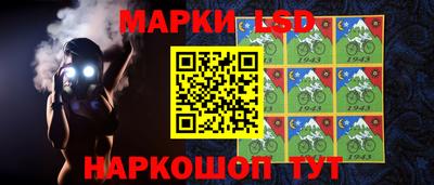 ECSTASY Гатчина